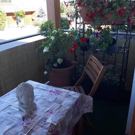 Studio Seeblick
